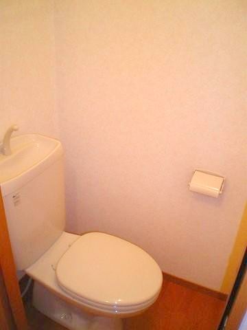 Toilet. Separate toilet space