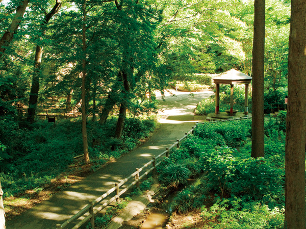 Surrounding environment. Hayashi試 of Forest Park (about 160m ・ A 2-minute walk)