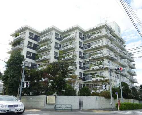 Local appearance photo. Building appearance (1)