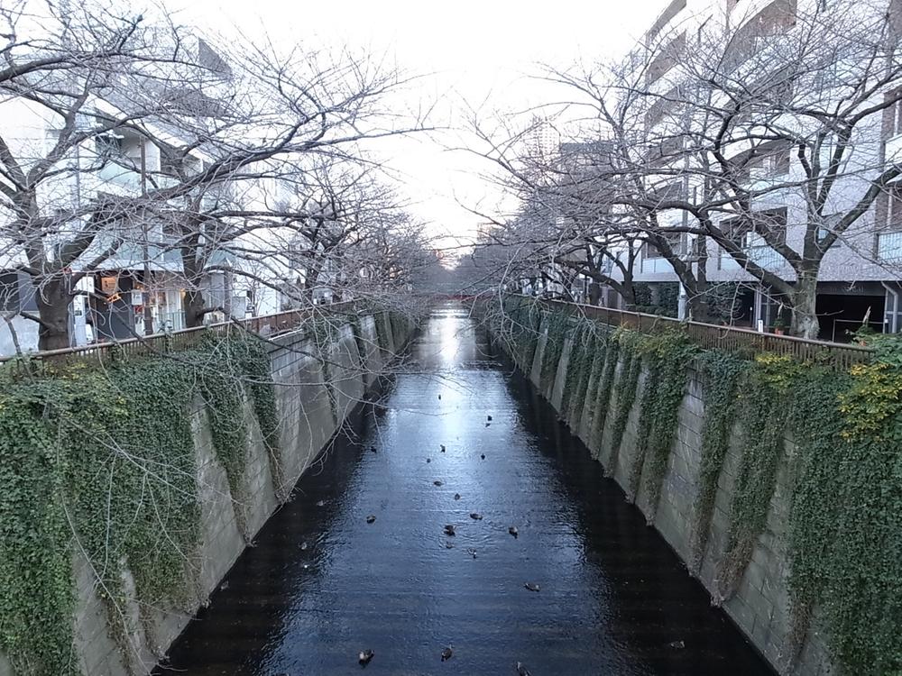 Other. Meguro River (100m)