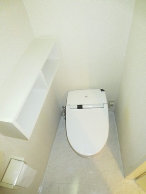 Toilet. Separate reference photograph