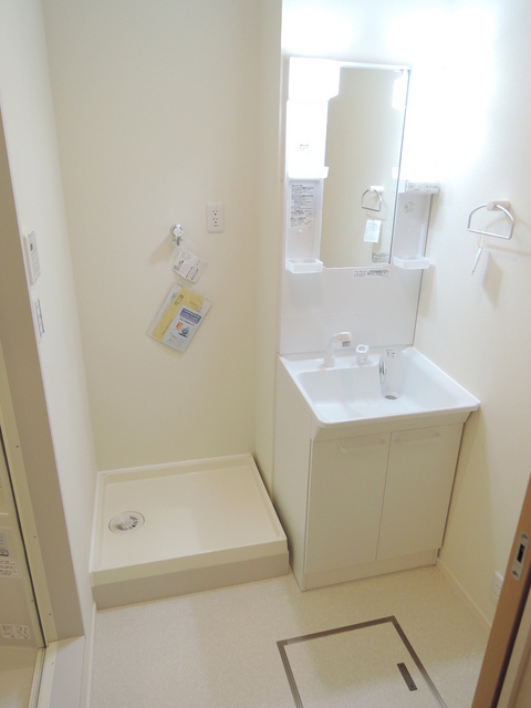 Washroom. Basin dressing room of the functional arrangement