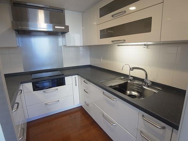 Kitchen. Shaped kitchen of a large co