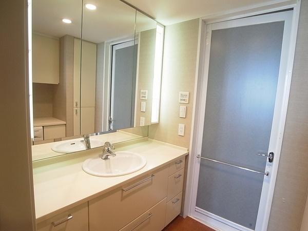 Wash basin, toilet. Bathroom vanity