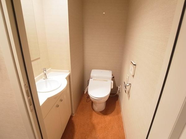 Toilet. Washlet toilet