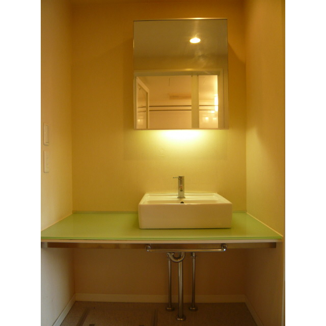 Washroom. Bathroom vanity