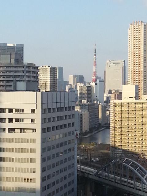 Other. View from the living room (the center back is the Tokyo Tower. )