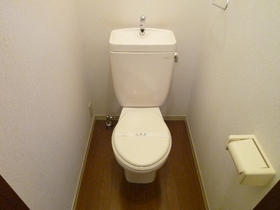 Toilet. Toilet