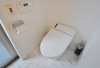 Toilet. The same type model room