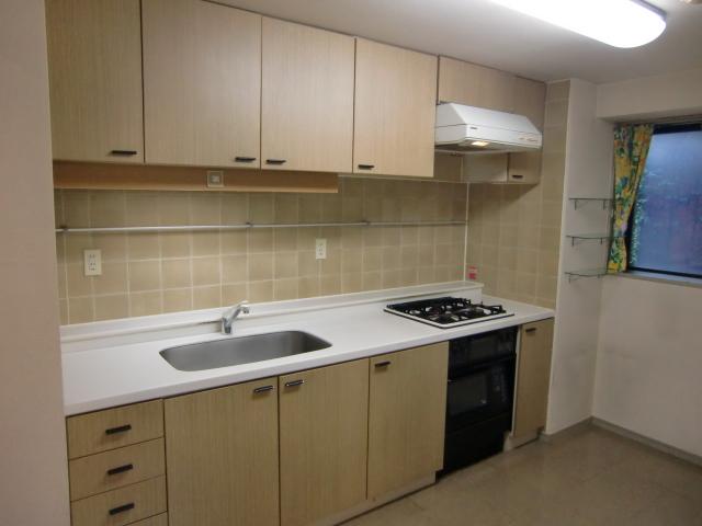 Kitchen. Indoor (July 2013) Shooting