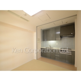 Kitchen. Shoot the same type the eighth floor of the room. Specifications may be different. 
