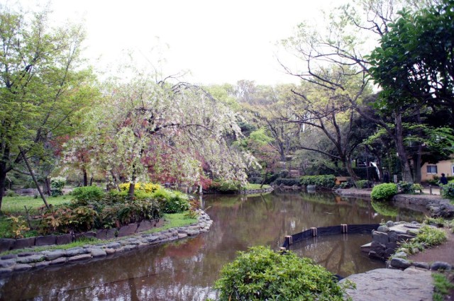 park. Miya Arisugawa Memorial Park (park) up to 795m