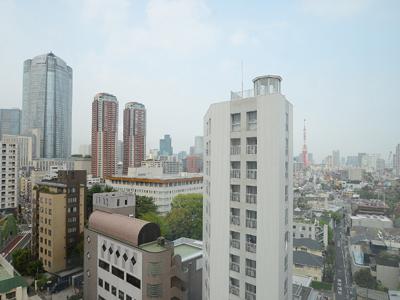 Entrance. Common areas