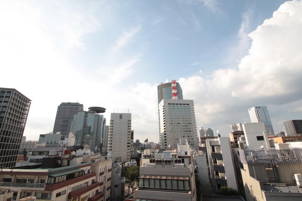 View photos from the dwelling unit. View from the site (November 2012) shooting