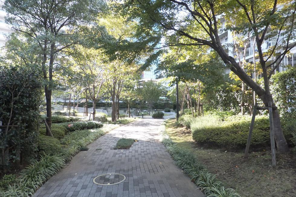 Other common areas. On-site park (November 2013) Shooting