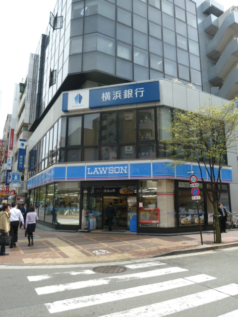 Convenience store. 300m until Lawson (convenience store)