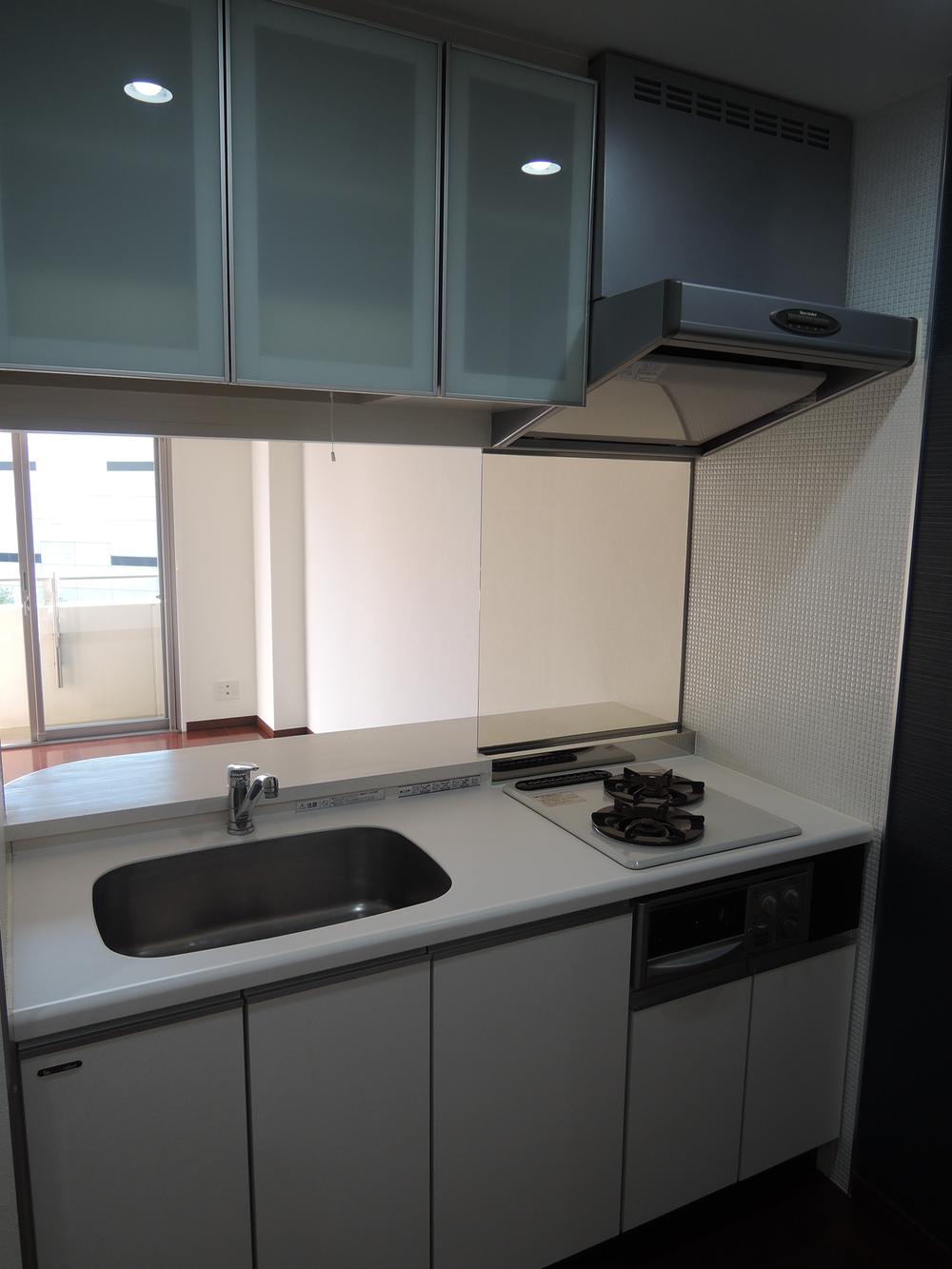 Kitchen. Indoor (11 May 2013) Shooting