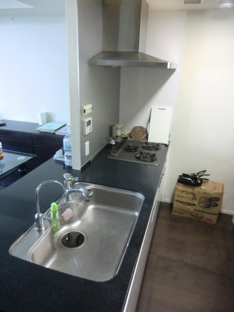 Kitchen. Indoor (10 May 2013) Shooting