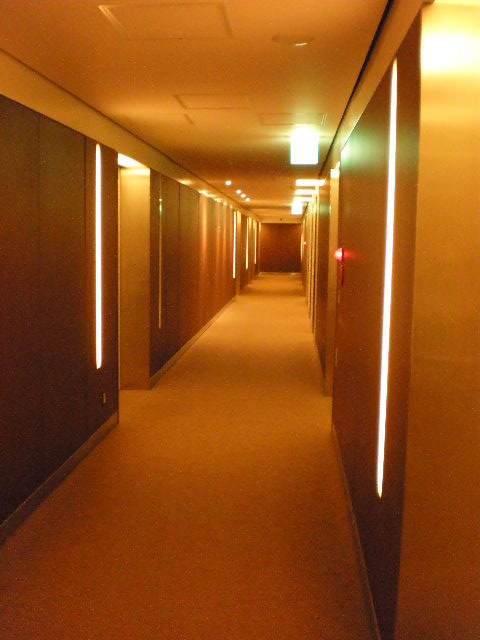 Other common areas. Hotel-like is the atmosphere of the corridor