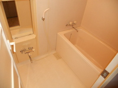 Bath. Spacious bathroom