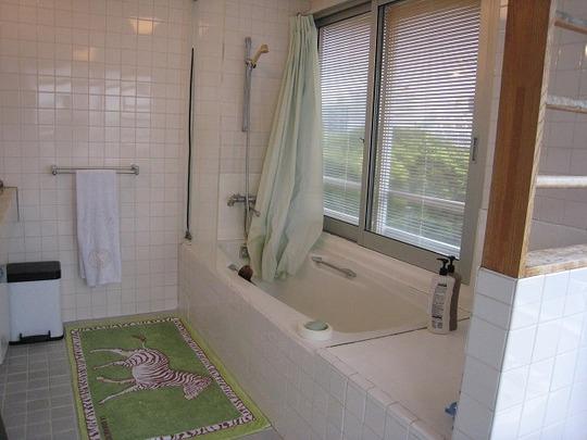 Bathroom. The main bathroom