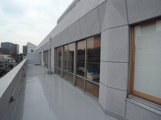 Living. Large roof balcony Carried out waterproofing work in large-scale repair
