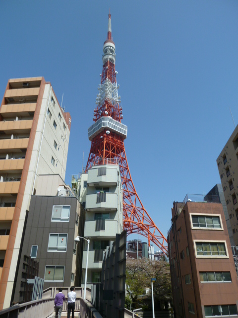 Other. 800m to Tokyo Tower (Other)