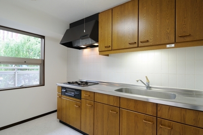 Kitchen. It utilizes a photograph of the same building, It might differ from the actual.