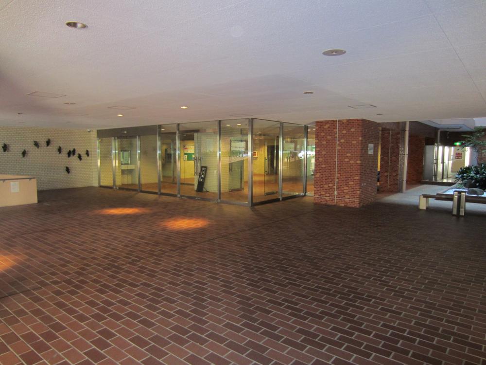 Local appearance photo. 2013 December shooting