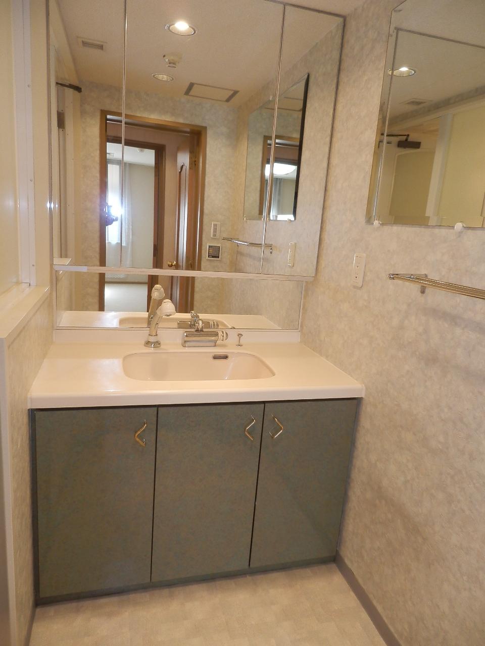 Wash basin, toilet. Clean bathroom vanity