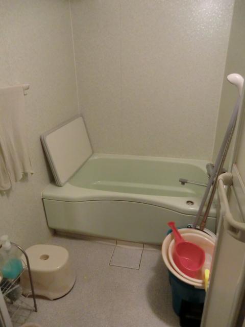 Bathroom. Indoor (12 May 2013) Shooting