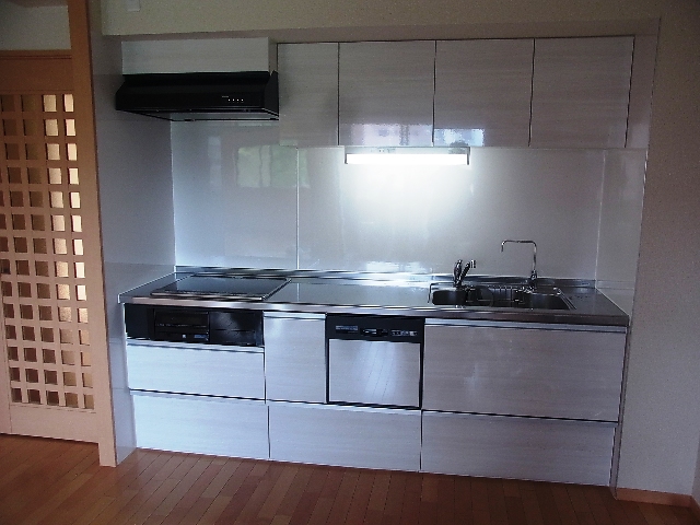 Kitchen. IH stove kitchen with built-in dishwasher dryer