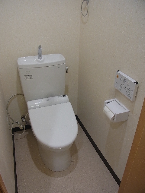 Toilet. Hot water cleaning function with toilet seat