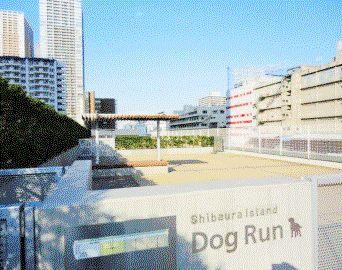 Other local. On-site Dog run