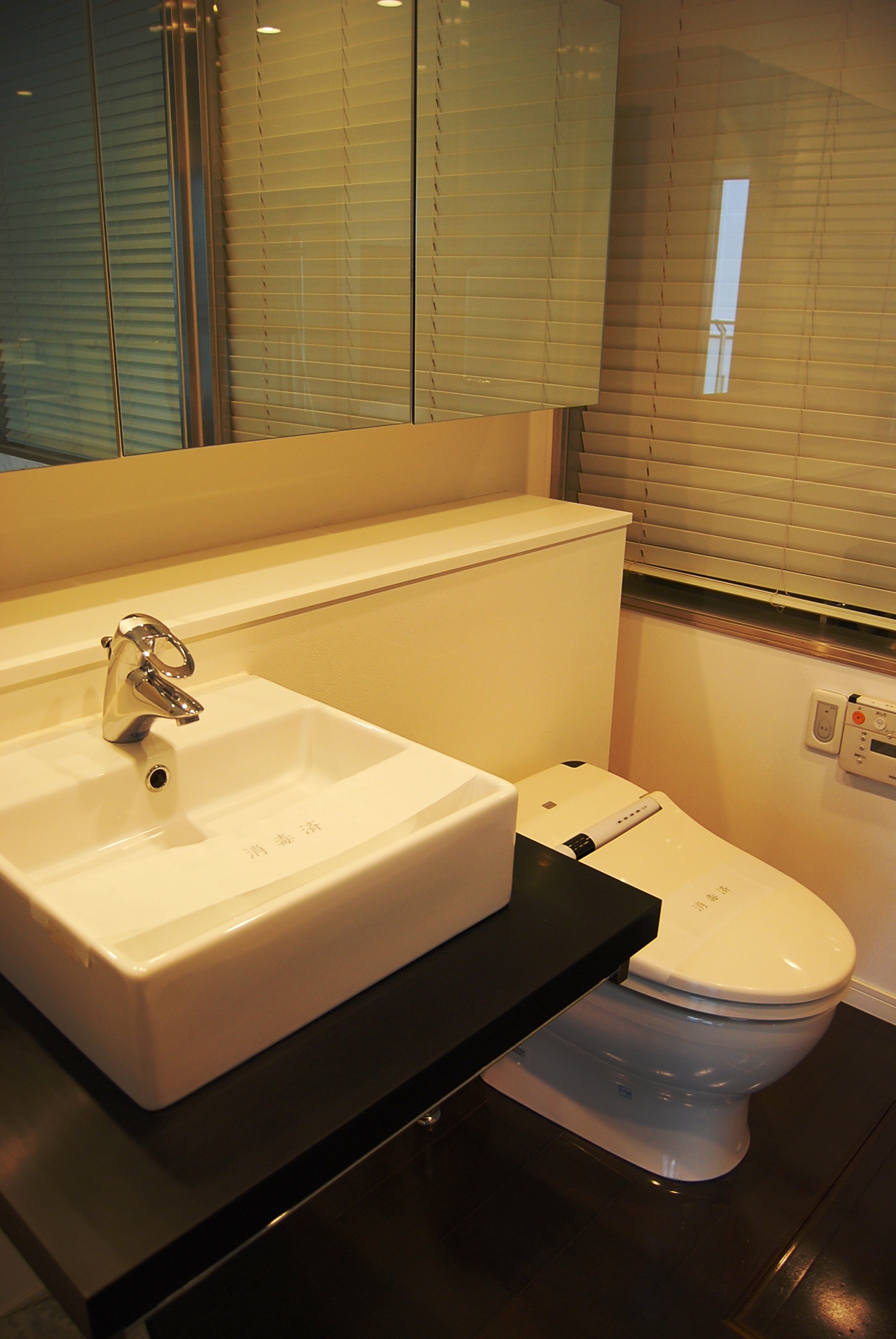 Washroom. Basin space reminiscent of a luxury hotel