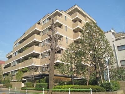 Local appearance photo