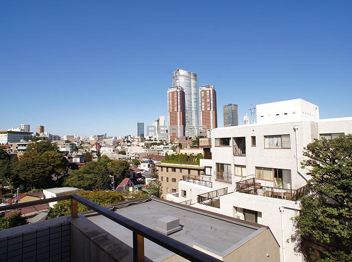 View photos from the dwelling unit. Views Roppongi Hills