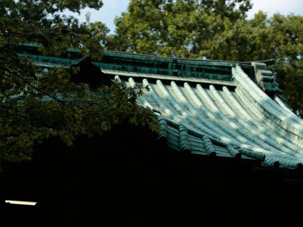 Surrounding environment. Hikawa Shrine (about 50m)