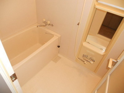 Bath. Spacious bathroom