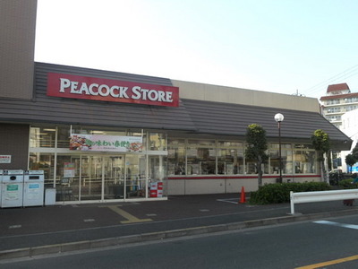 Supermarket. 238m until Peacock (super)