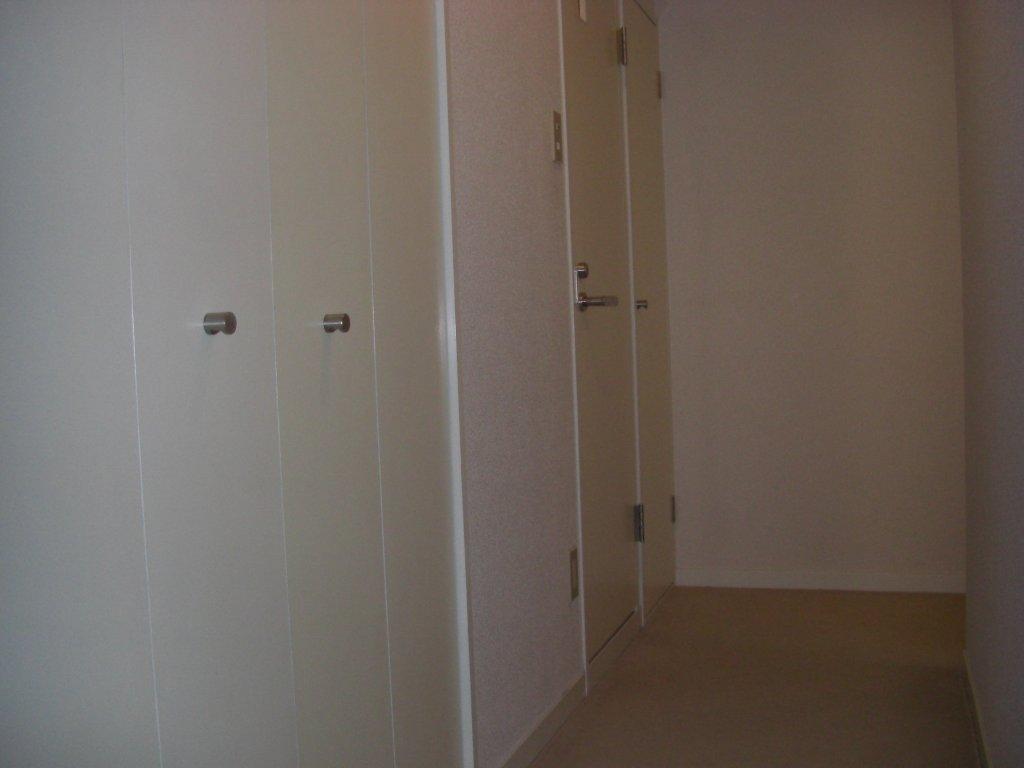 Entrance. Large shoes closet of the front door next to