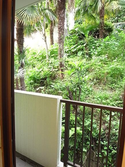 View photos from the dwelling unit. View from the north side of the kitchen side balcony It is green in many environment