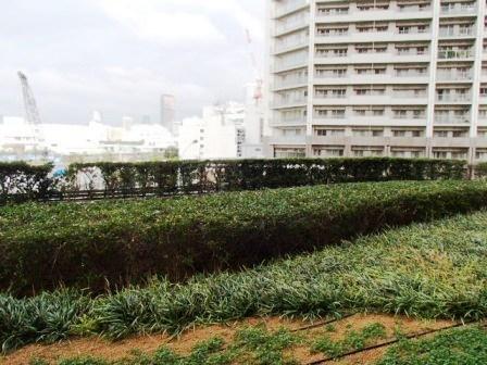 View photos from the dwelling unit. Balcony of the former has been greening