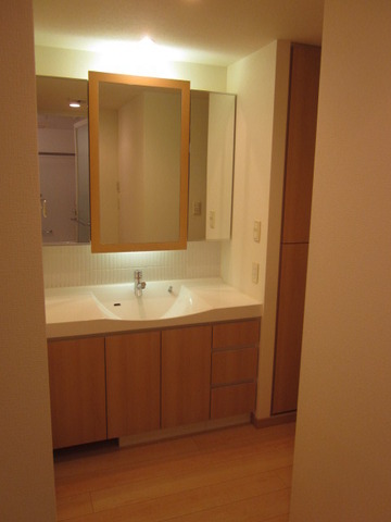 Washroom. Bathroom vanity