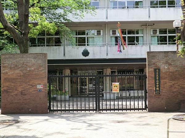 Junior high school. 1300m until Aoyama Junior High School