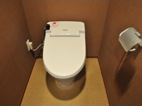 Toilet. Toilet