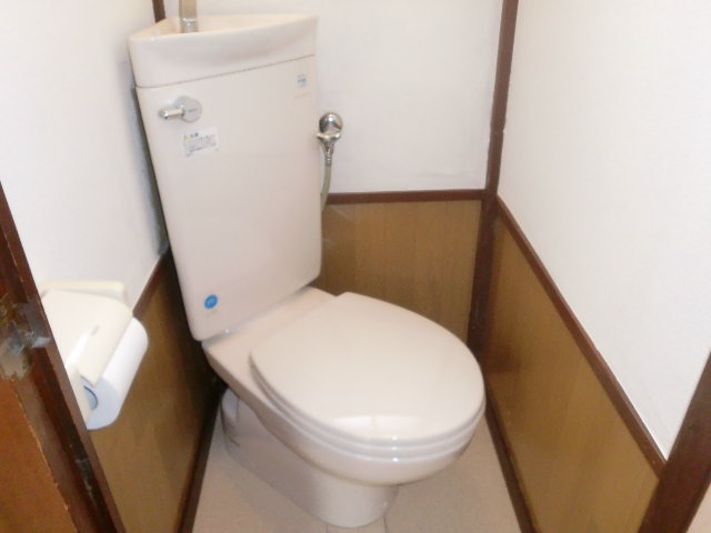 Toilet. There is Western-style toilet