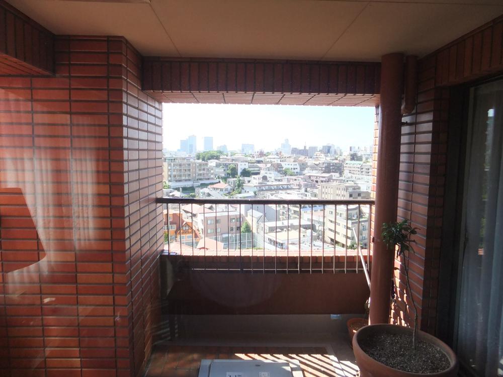 Balcony. Terrace (8.14 sq m)