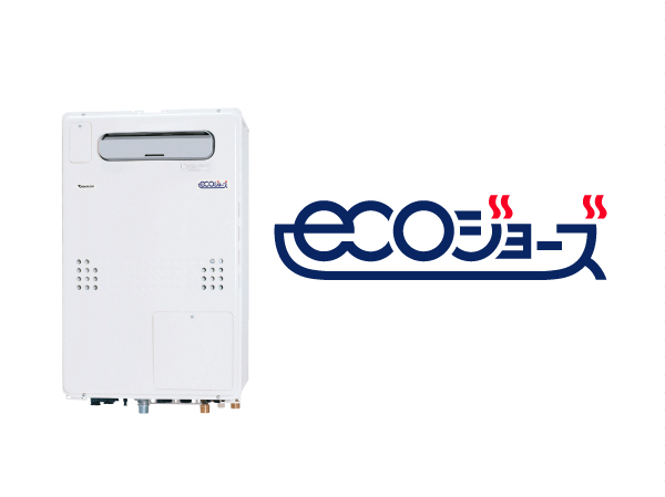 Other.  [Eco Jaws] Realizing significant reduction of running costs and improved to stretch about 95 percent water heating efficiency was approximately 80% in the conventional water heater. Is a budget a water heater in the ecology. (Same specifications)