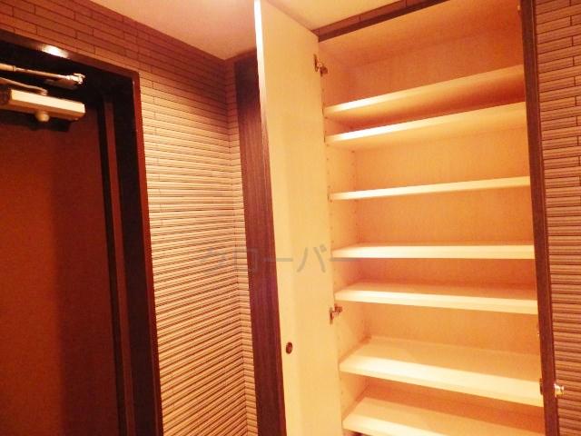 Entrance. Footwear purse